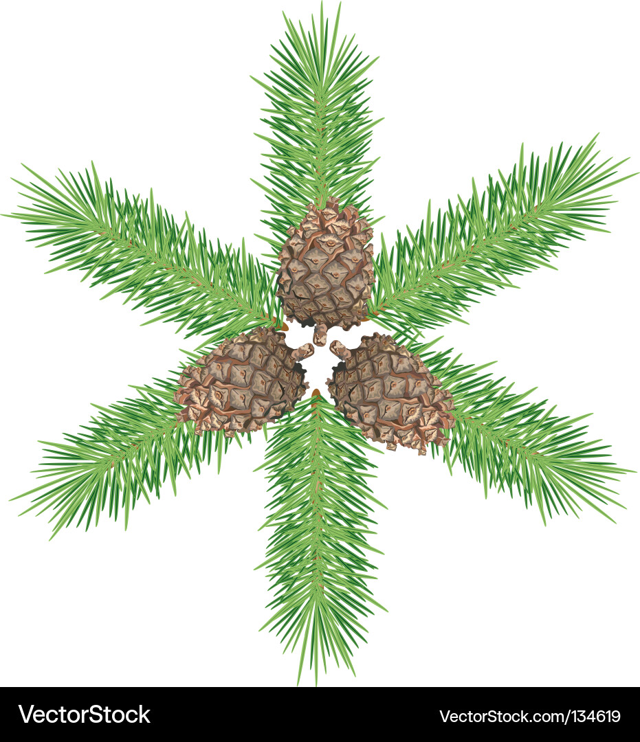 Three Cones and Branch Vector Image