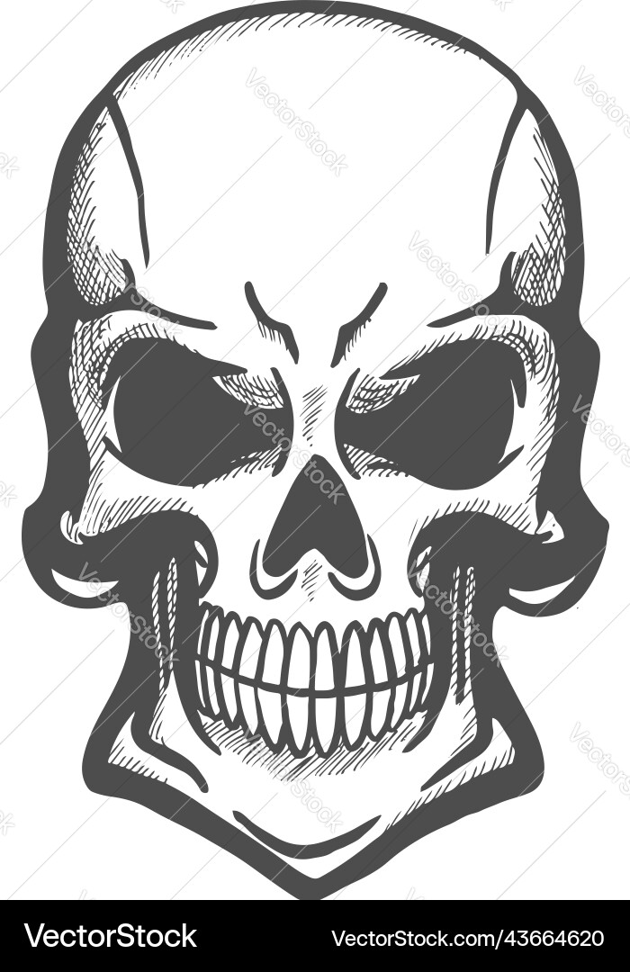 Human skull monochrome sketch tattoo design Vector Image