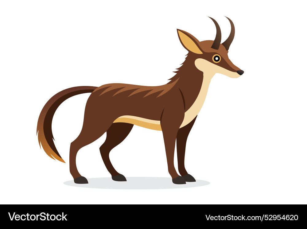 Sable animal isolated flat on white background Sable animal isolated flat on white background vector image