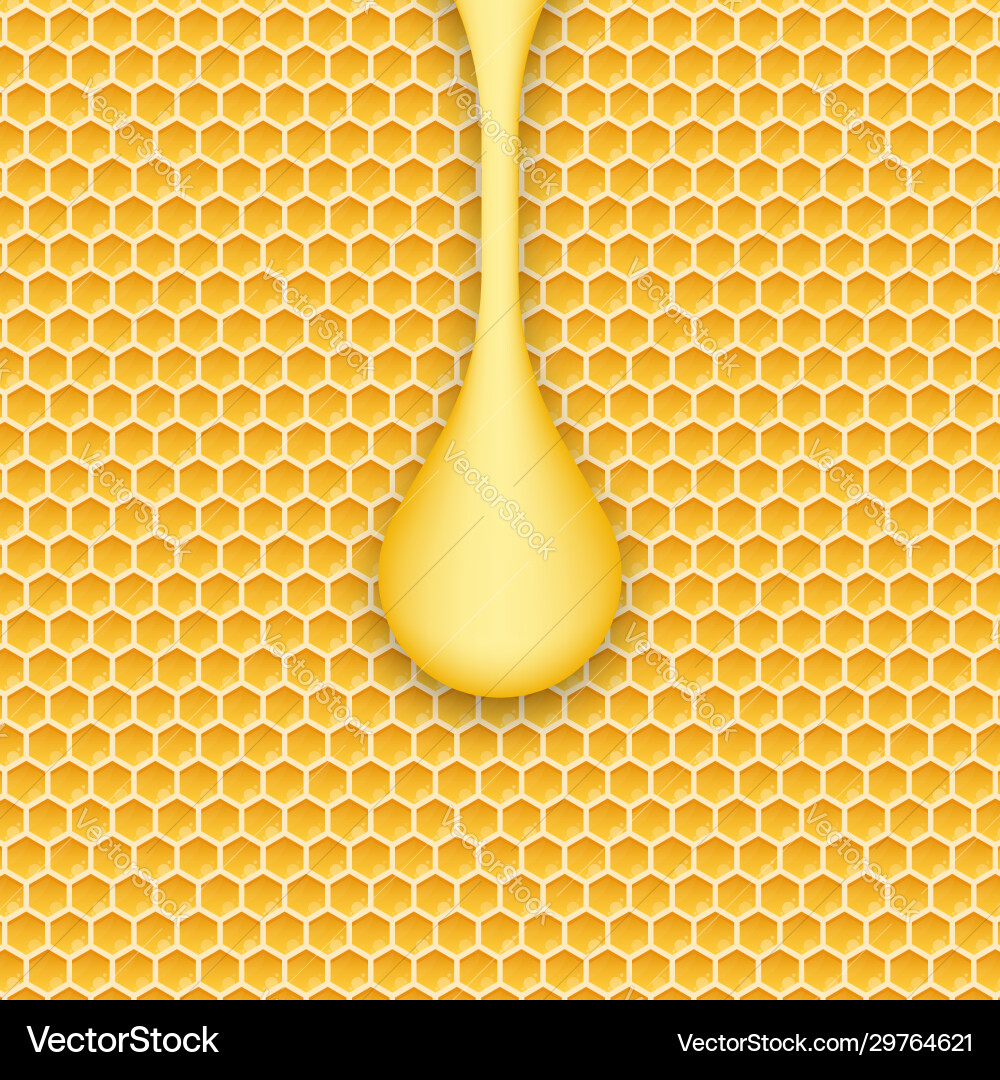 Honeycomb and honey monochrome pattern Vector Image