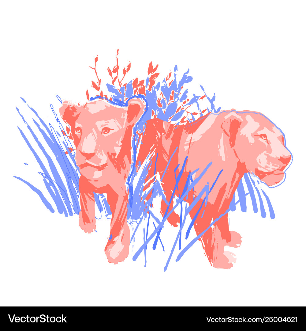 Two graphic female lions standing among grass Two graphic female lions standing among grass vector image
