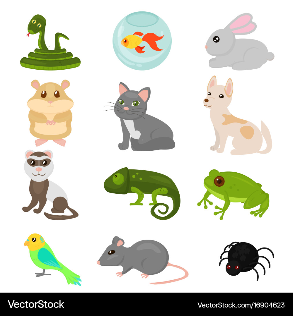 Cute Home Pets Collection Vector Image