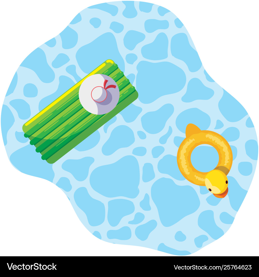 Summer floats pad and duck floating in pool vector image