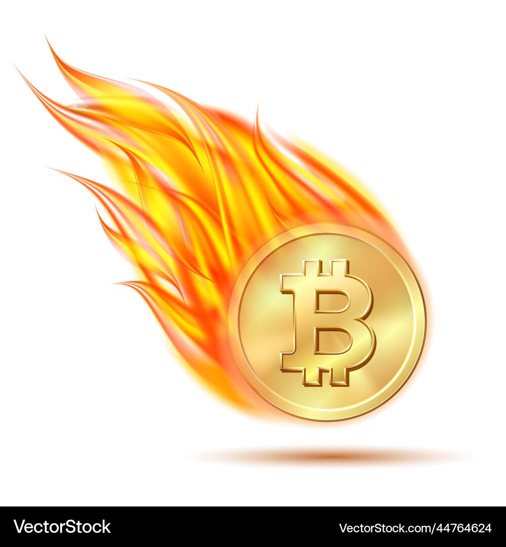 Falling bitcoin symbol on fire isolated white – Royalty-Free Vector |  VectorStock