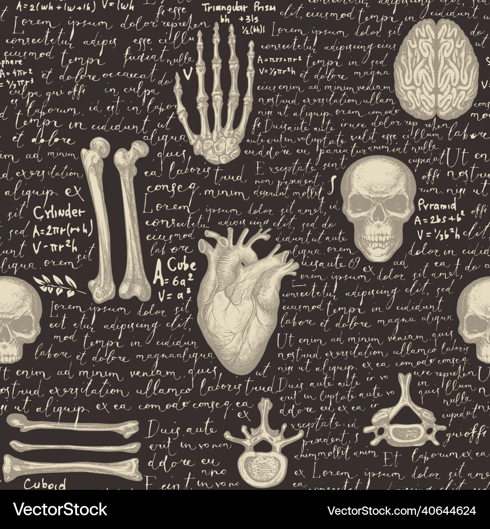 Retro seamless pattern with human organs and bones Retro seamless pattern with human organs and bones vector image