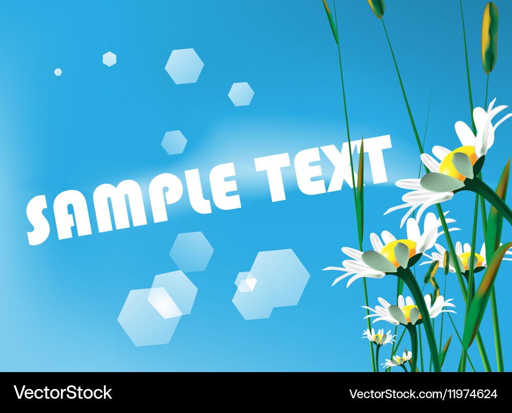 Sunflower backdrop with text space Vector Image