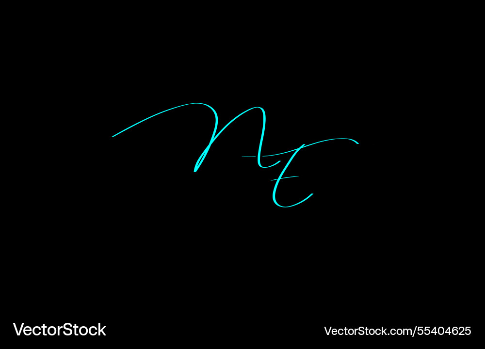 Elegant calligraphy of cursive ne logo Royalty Free Vector