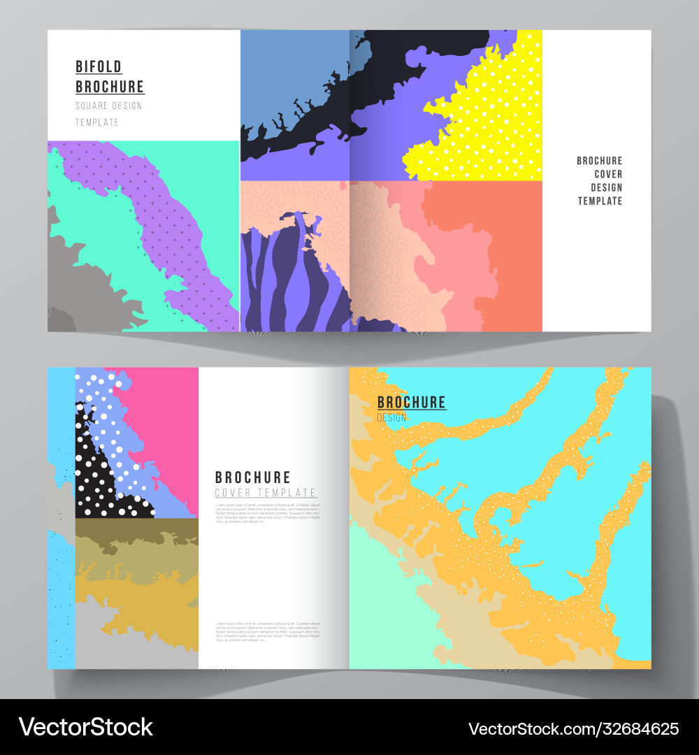 Layout two covers templates for square vector image