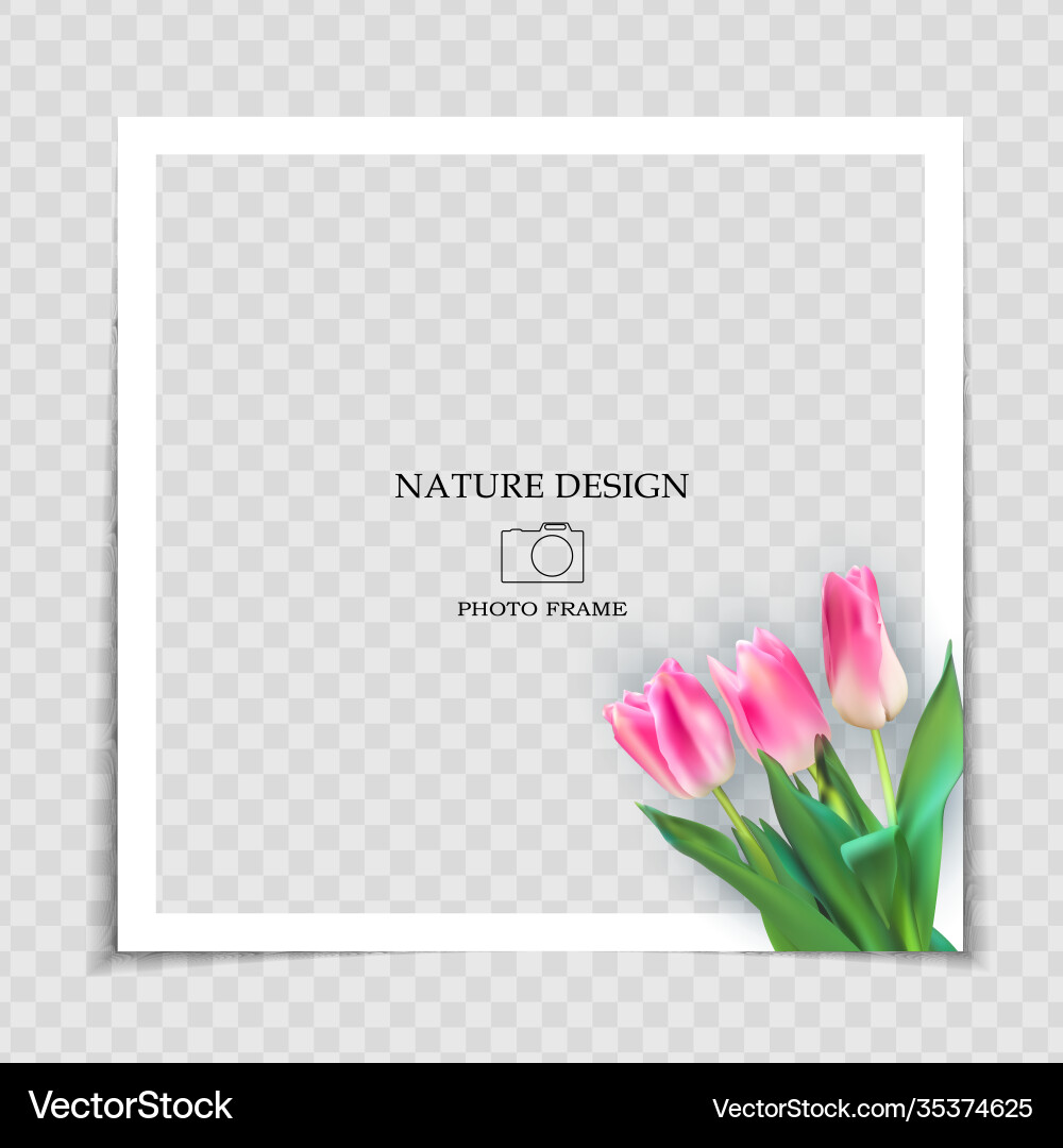 Natural background photo frame template with palm Vector Image