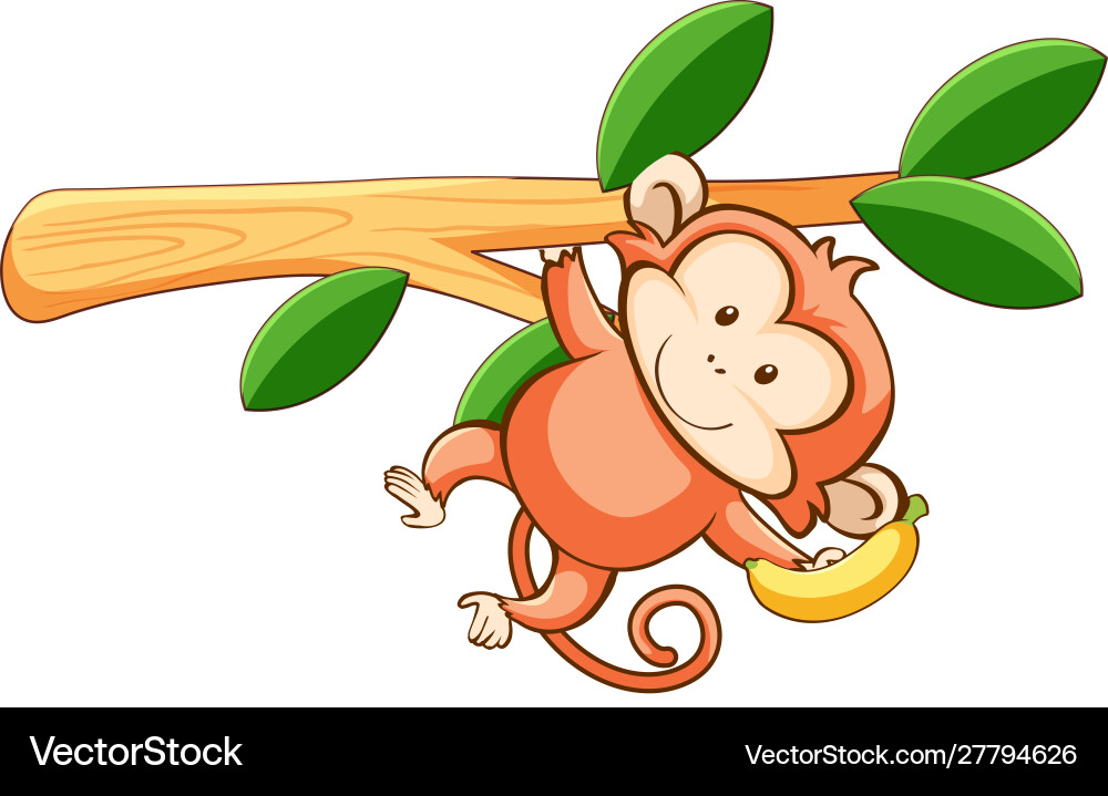 Cute monkey on white background vector image