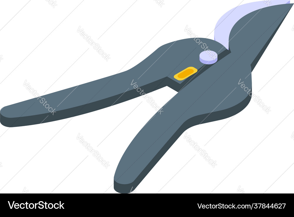 Pruning scissors icon isometric style Pruning scissors icon isometric style vector image