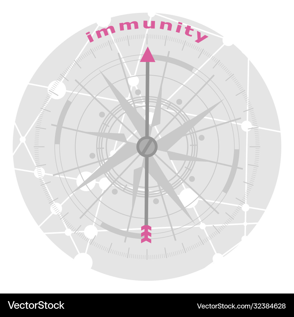 Compass symbol on geometry pattern Vector Image