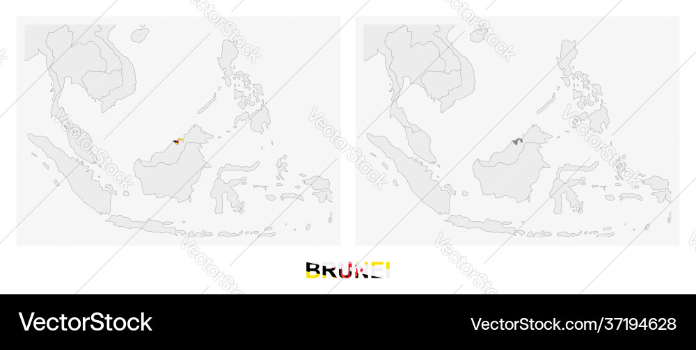 Two versions map brunei with flag vector image