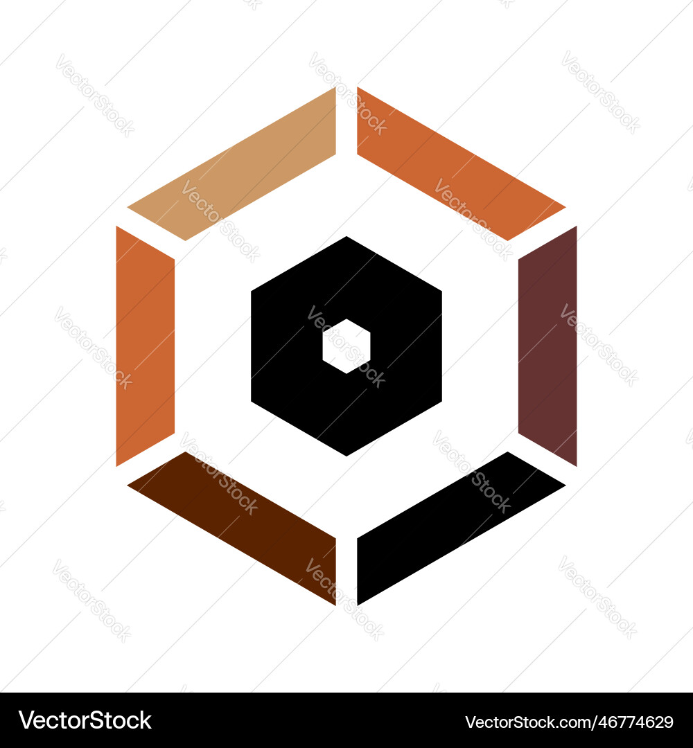 Abstract icon in hexagon shape vector image