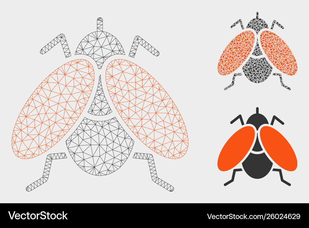 Fly mesh 2d model and triangle mosaic icon Vector Image