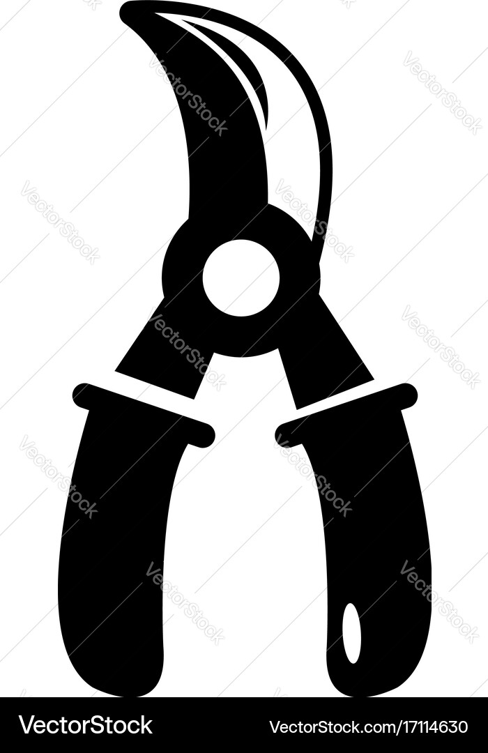 Grape scissors icon simple style Vector Image