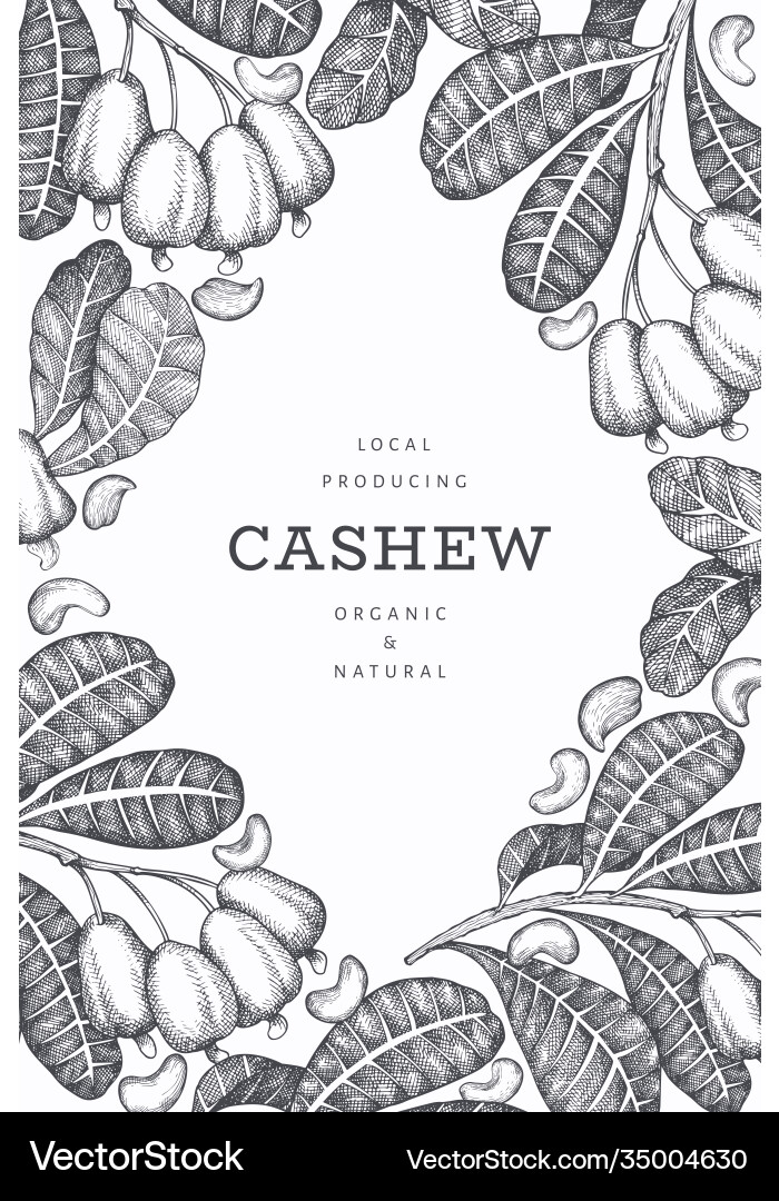 Hand drawn sketch cashew design template organic Hand drawn sketch cashew design template organic vector image