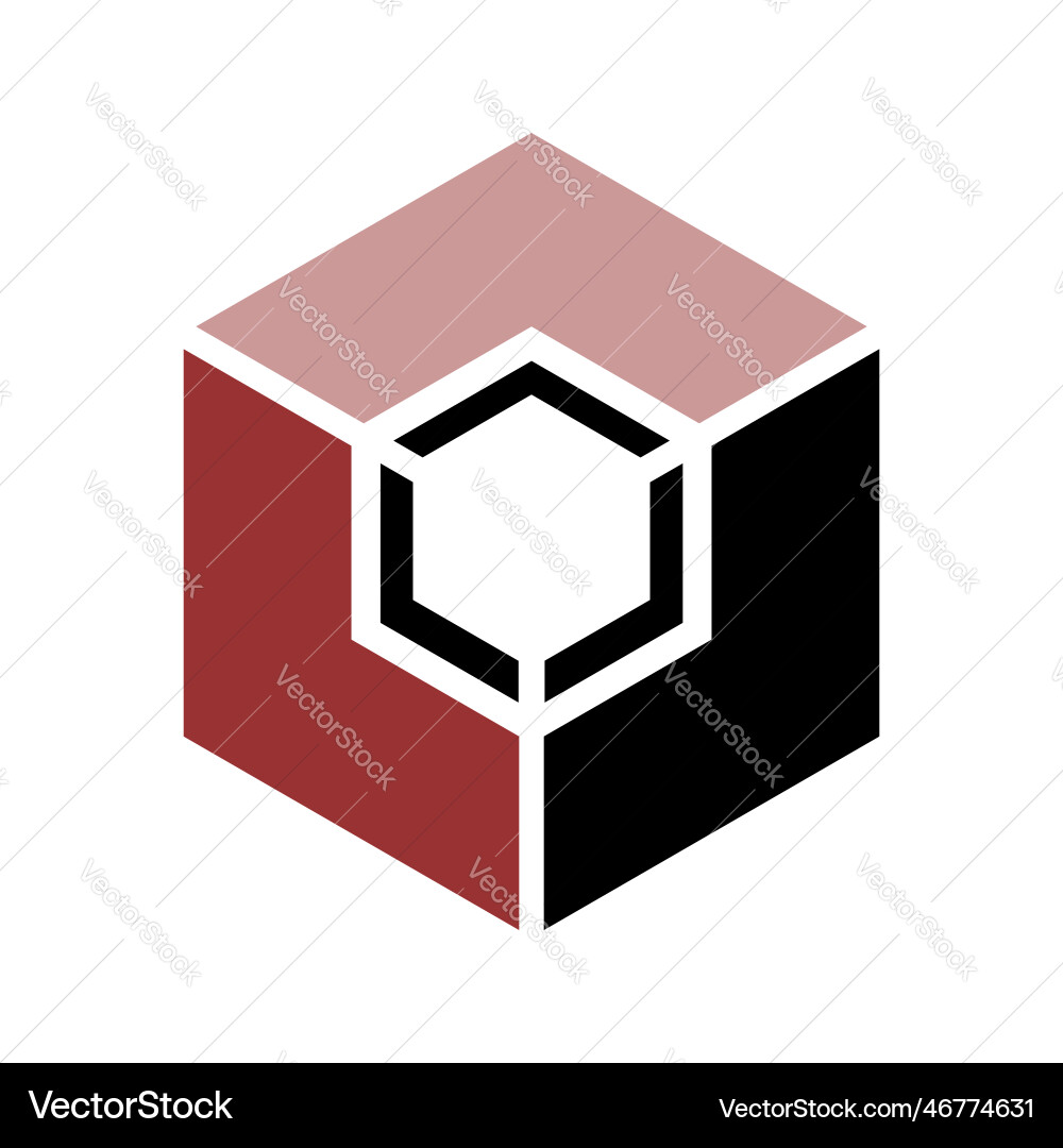Abstract icon in hexagon shape vector image