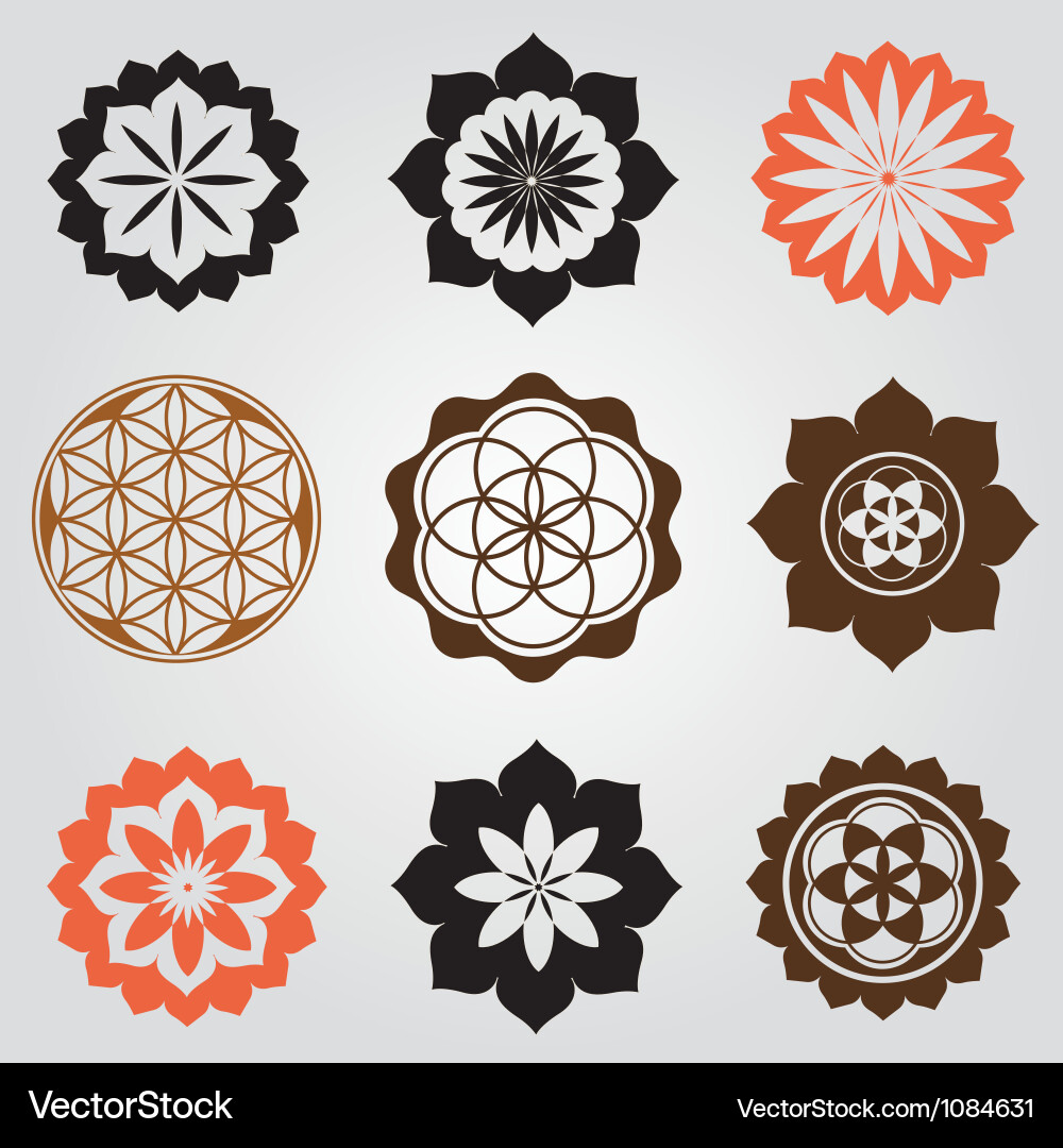 Celestial Seed Patterns Vector Image