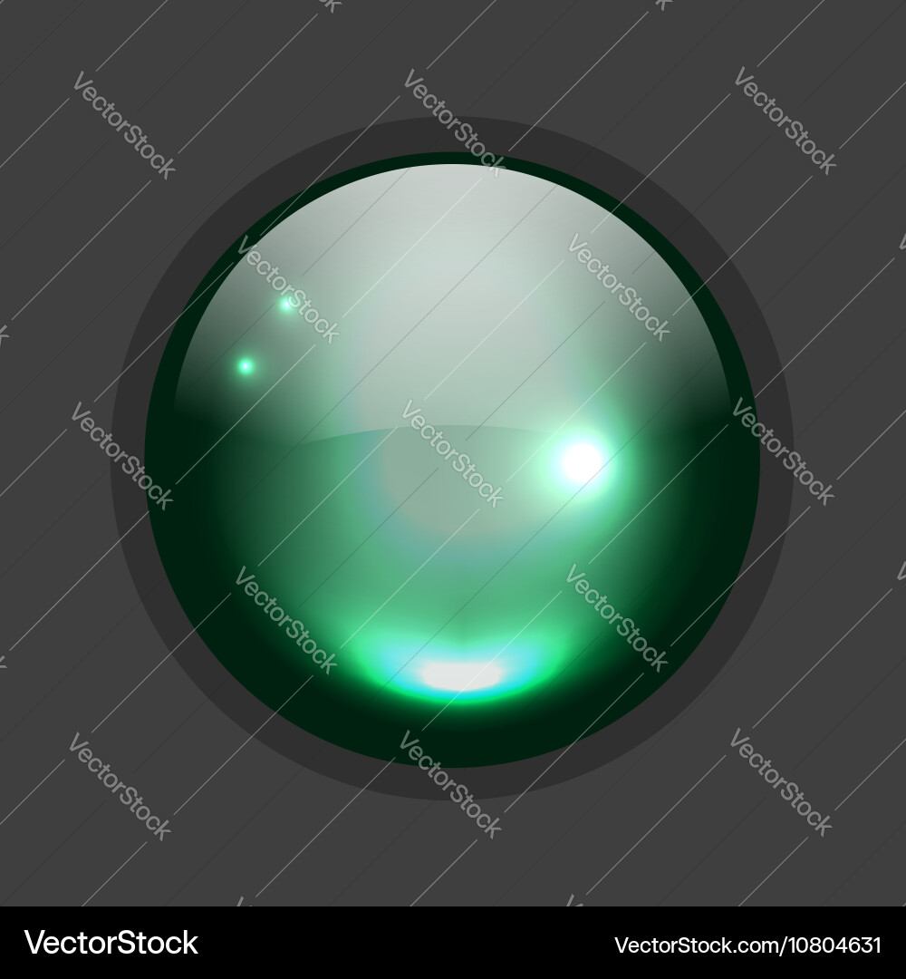 Glossy circle button for your design vector image