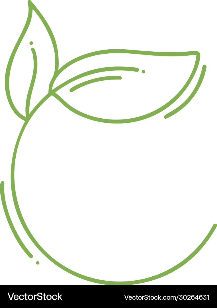 Hand drawn round minimalistic frame with branch Vector Image
