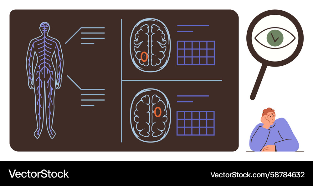 Neural and nervous system analysis with brain Vector Image