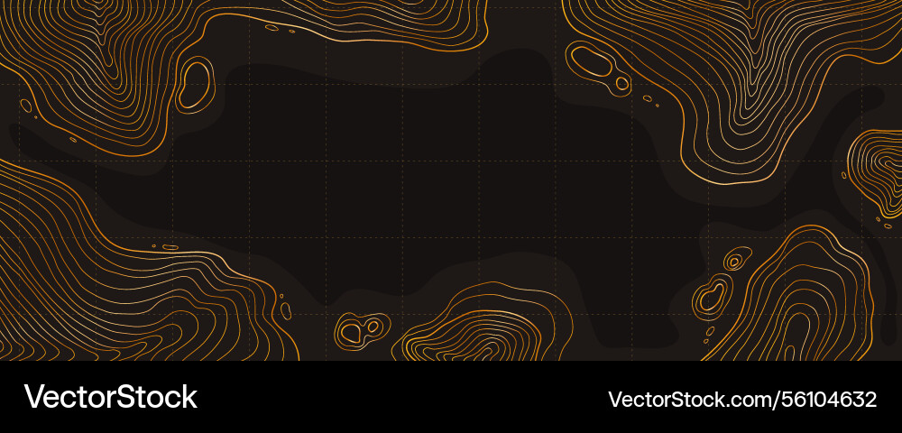Topographic landscape map with grid and lines Topographic landscape map with grid and lines vector image