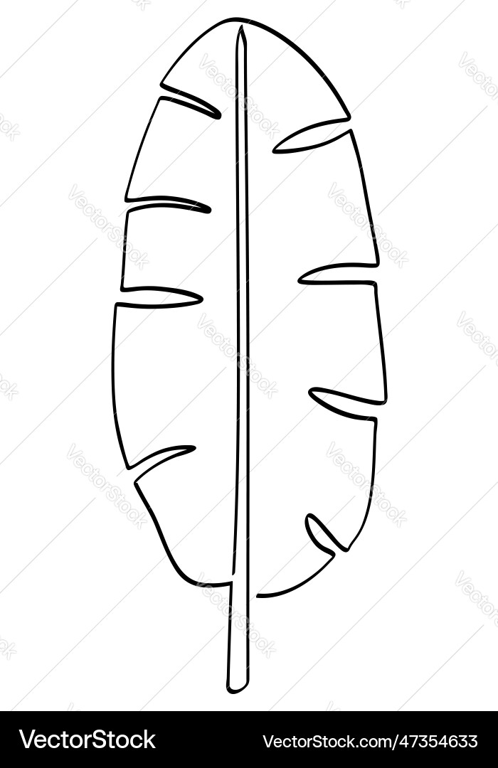 Banana leaf in simple sketch single or continuous Vector Image