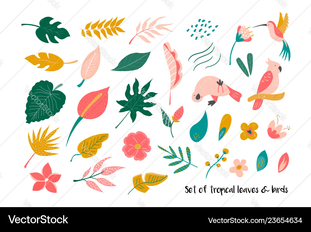 Vibrant Tropical Leaves & Birds Vector Image