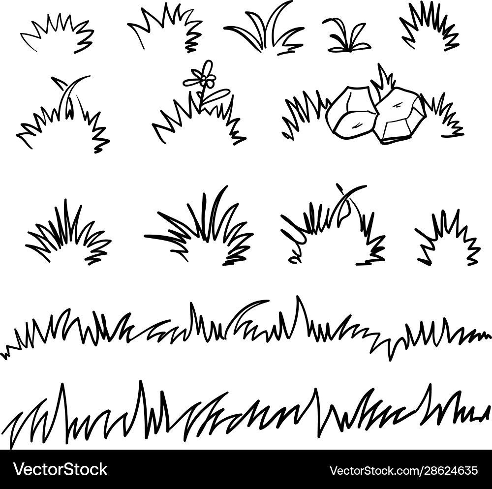 Doodle crass handdrawn style Doodle crass handdrawn style vector image