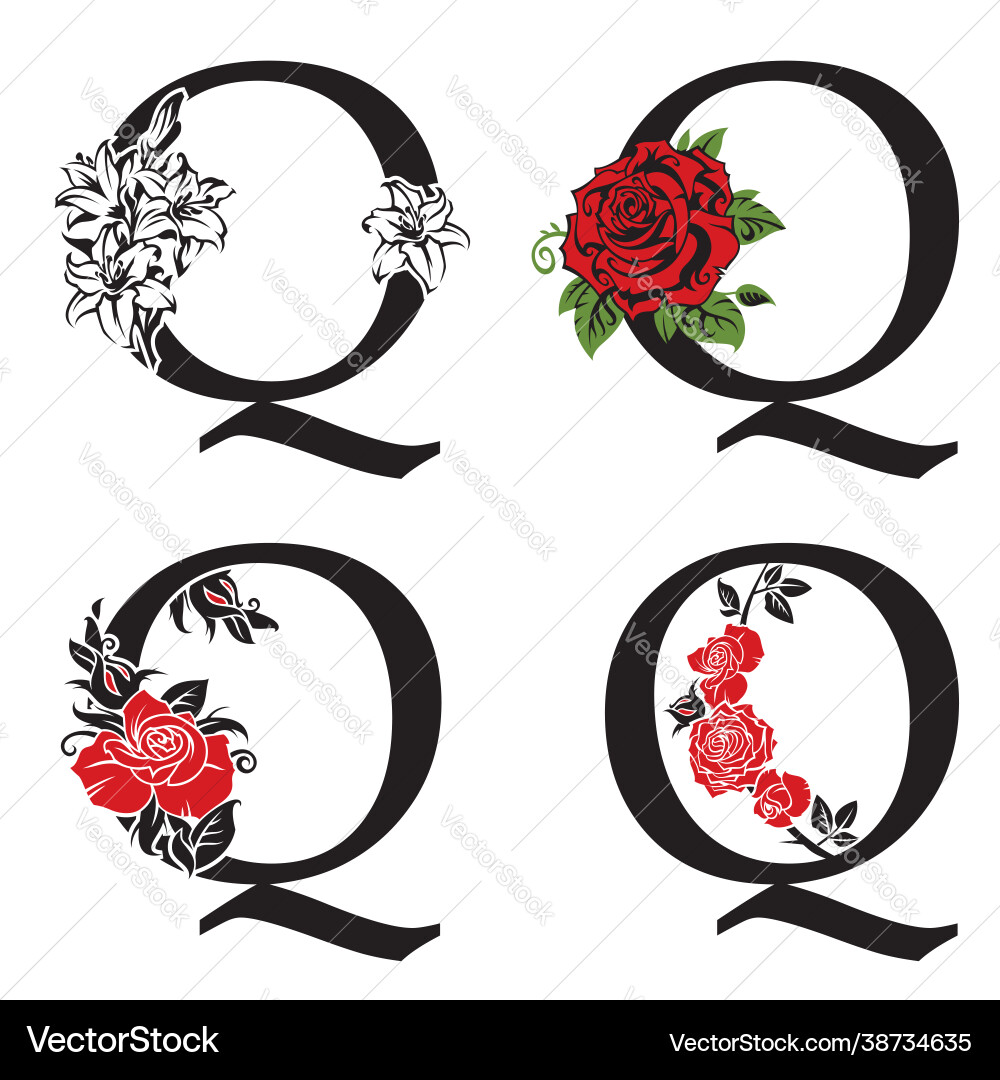 Letters q with flowers bouquet Letters q with flowers bouquet Vector Image