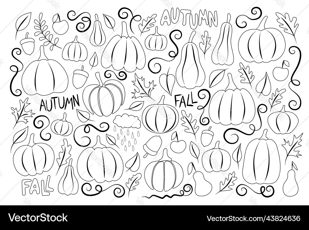 Big collection of autumn plants pumpkins designs Big collection of autumn plants pumpkins designs Vector Image