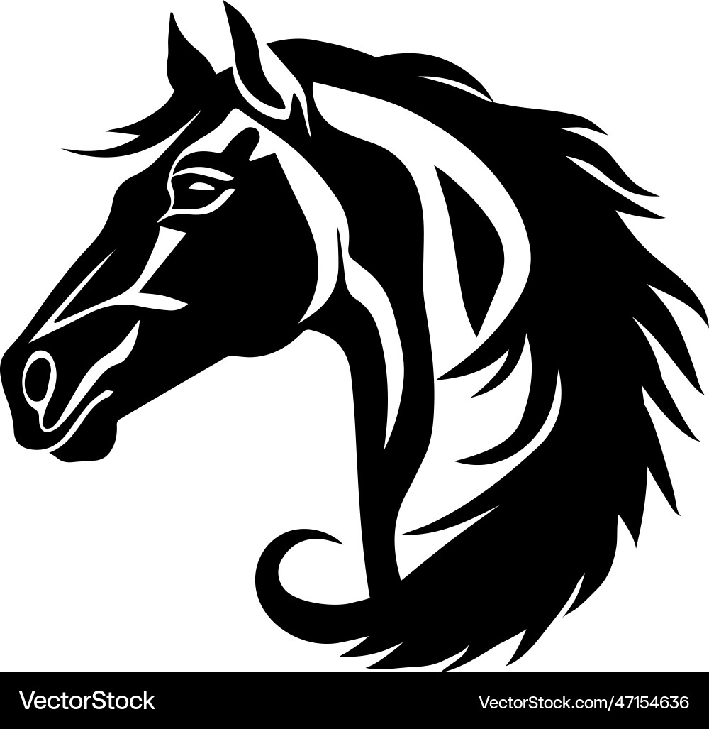 Horse head in drawing stencil Horse head in drawing stencil vector image