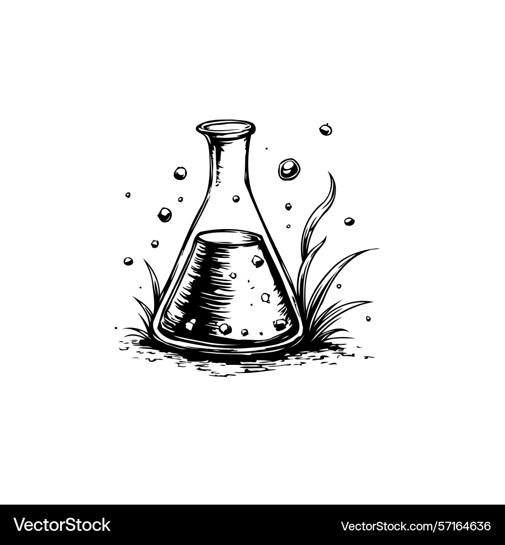Intricate sketch of a conical flask with liquid Intricate sketch of a conical flask with liquid Vector Image