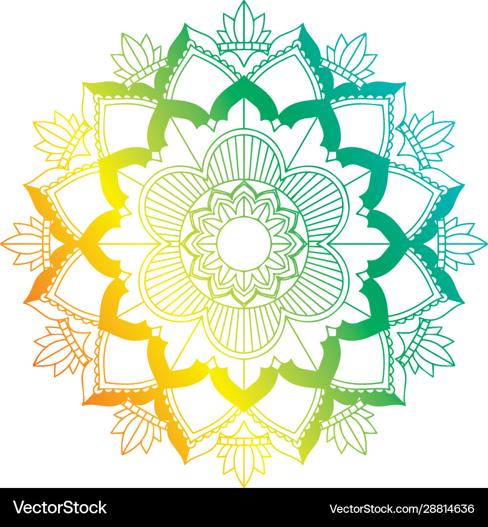 Mandala patterns on isolated background Vector Image