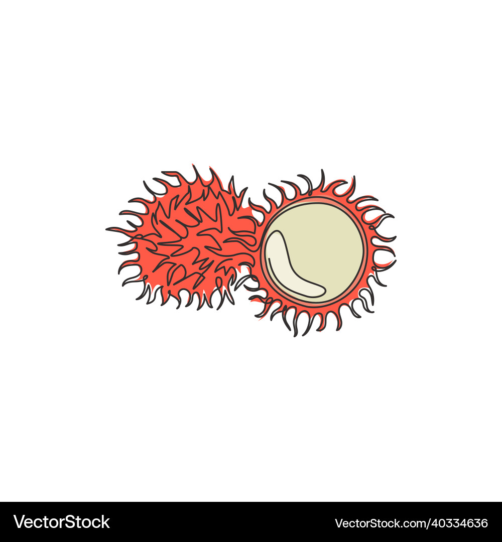 Single continuous line drawing whole and sliced Single continuous line drawing whole and sliced vector image