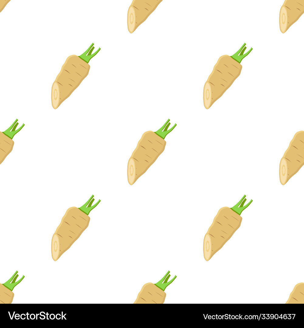 On theme pattern plant parsnip On theme pattern plant parsnip Vector Image