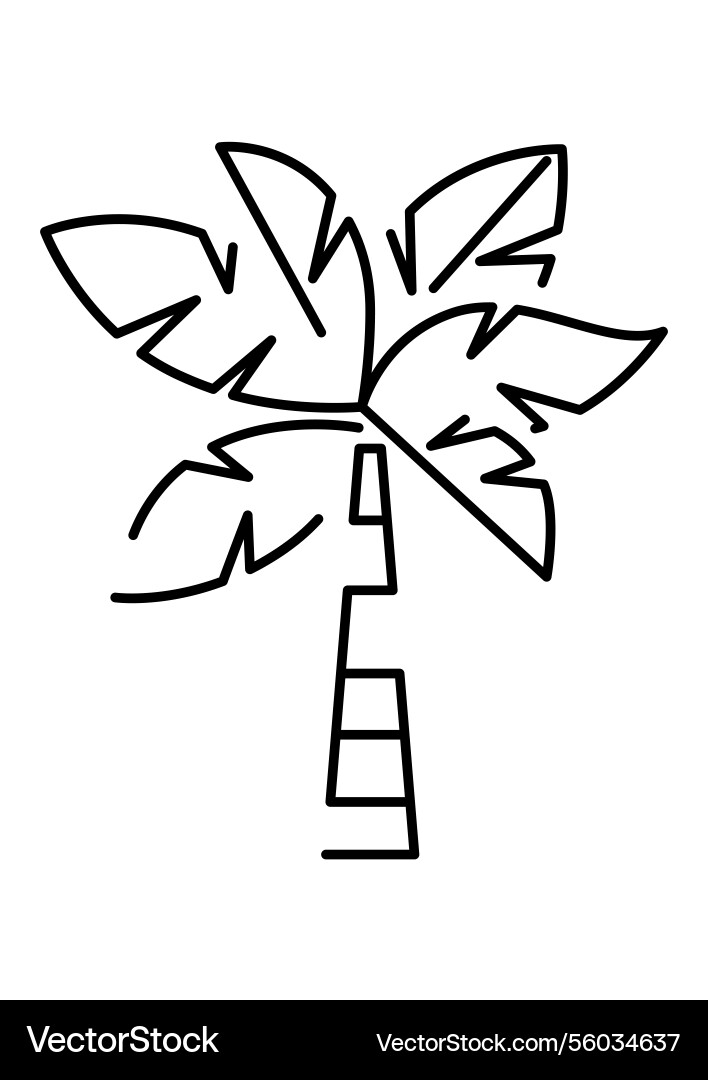 Palm tree summer image Vector Image