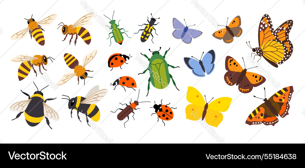 Insect Pollinator Collection Vector Image