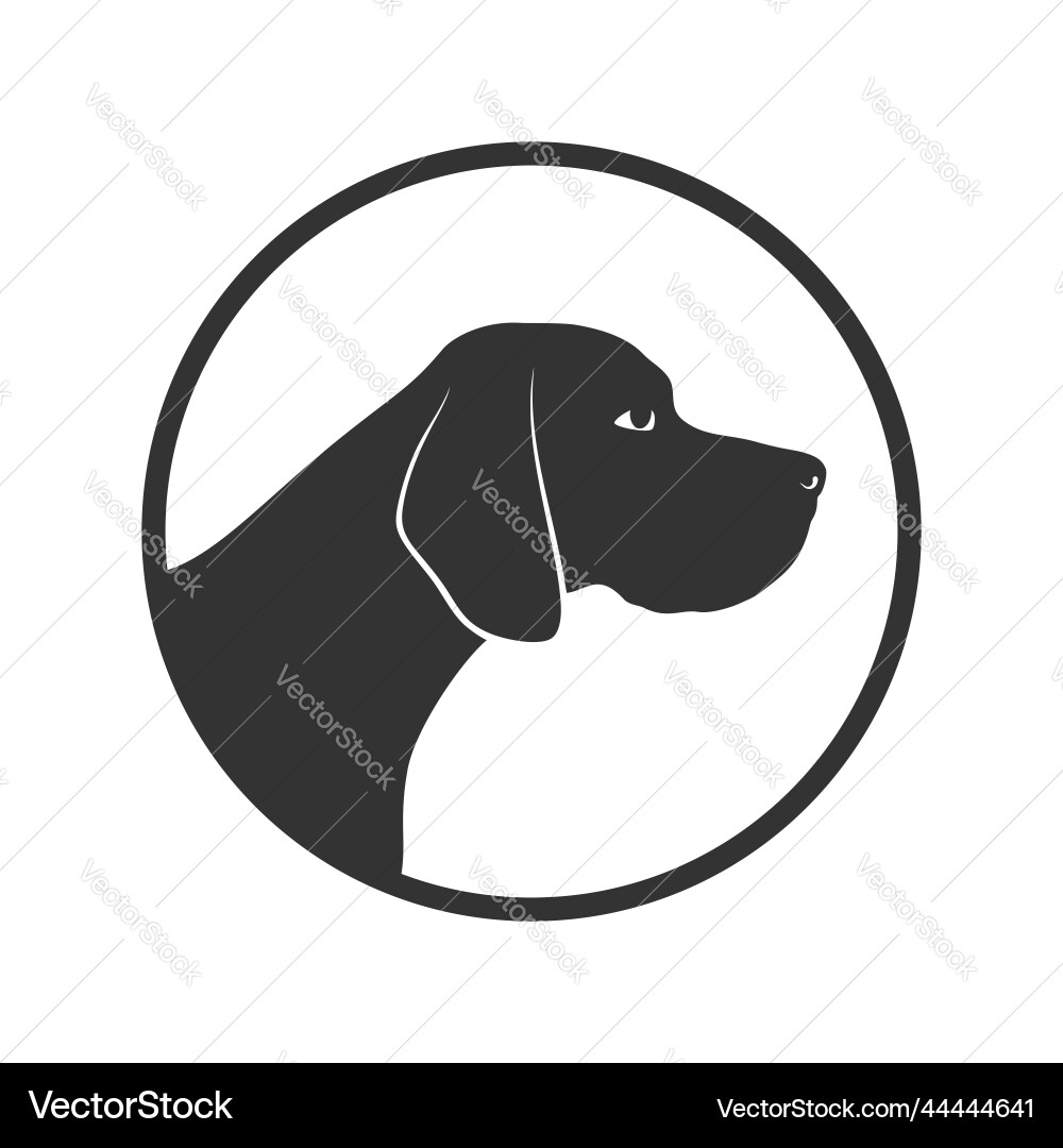 Breed pointer vector image
