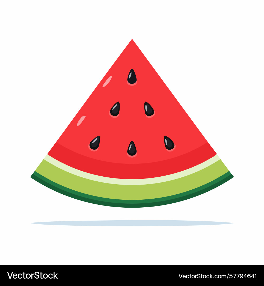 Triangular slice of watermelon with seeds Vector Image