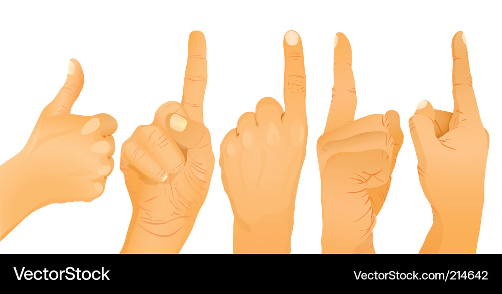 Hands in Various Gestures Vector Image