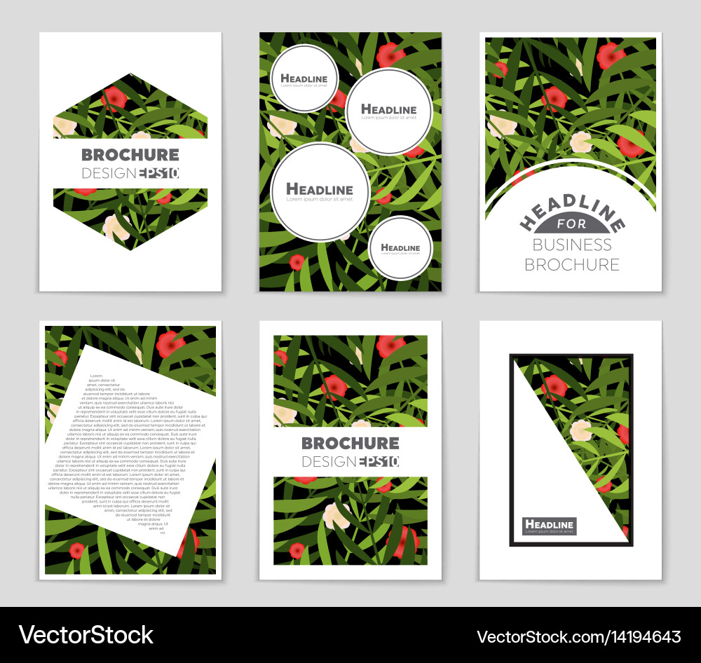 Abstract layout background set for art vector image