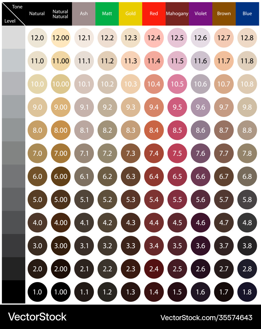 Palette mit Haarfärbesystem Palette mit Haarfärbesystem vektorbild
