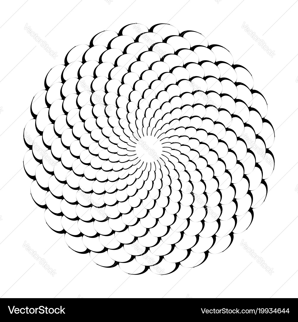 Circle design element vector image
