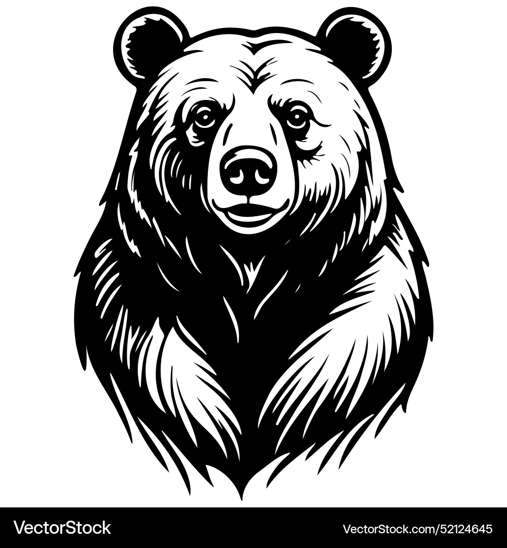 Bear Monochrome Hand Drawn Line Transparent Vector Image