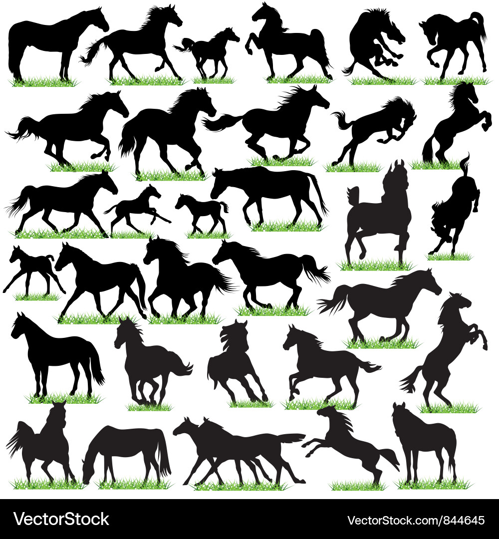 Horse Silhouettes Collection vector image