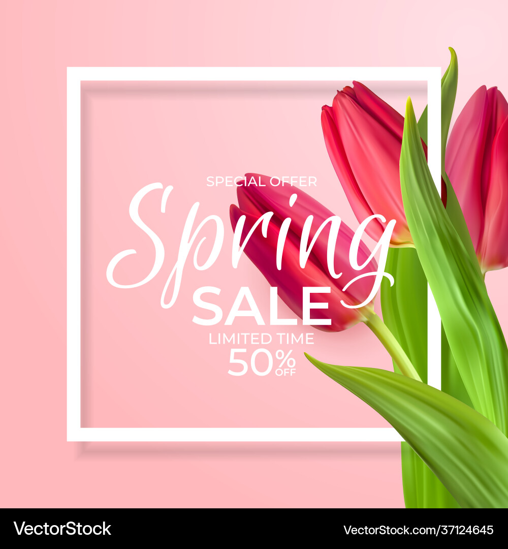 Spring sale template background with realistic Vector Image