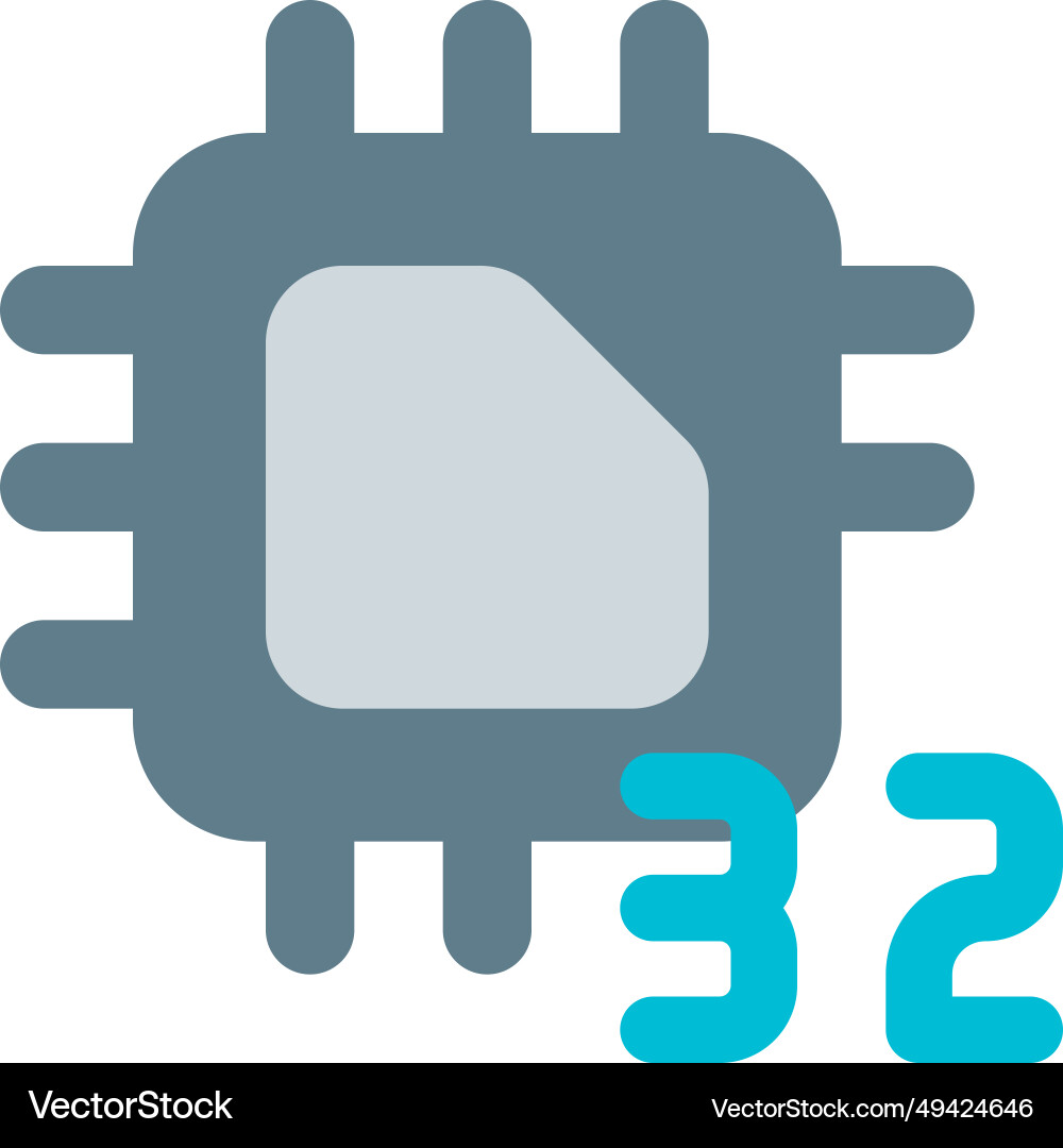 Processing unit with a 32-bit data capacity vector image