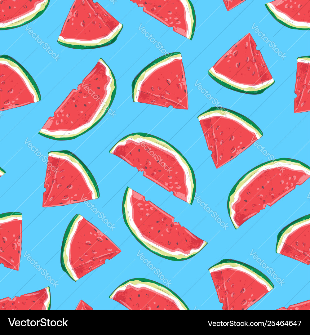 Watermelon Slice Pattern vector image